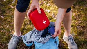 Build Your Natural DIY First Aid Kit: Mother Nature’s Medicine Cabinet